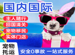 阜阳机场物流国际宠物托运 【国